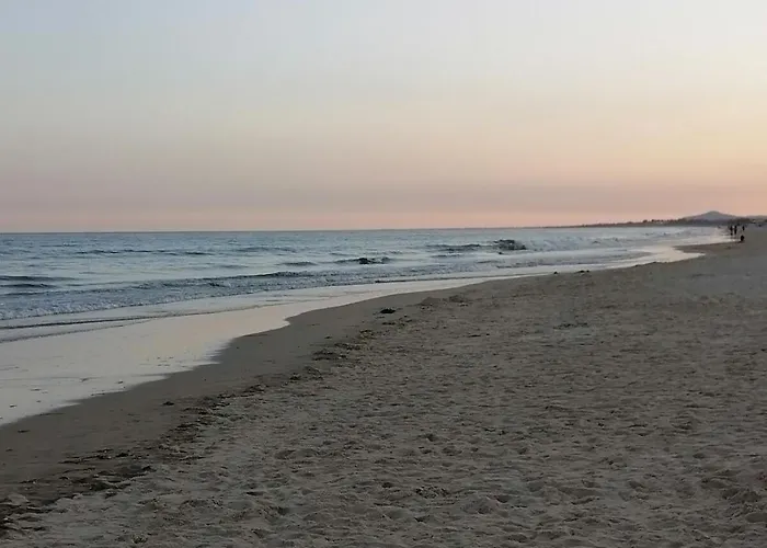 Garden Golf And Sunny *